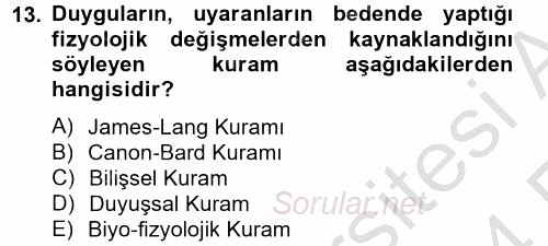 İş ve Yaşamda Motivasyon 2013 - 2014 Ara Sınavı 13.Soru