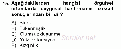 İş ve Yaşamda Motivasyon 2013 - 2014 Ara Sınavı 15.Soru