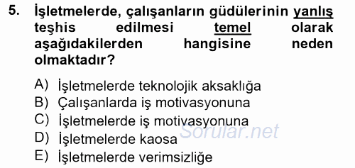 İş ve Yaşamda Motivasyon 2013 - 2014 Ara Sınavı 5.Soru