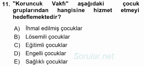 Çocuk Gelişiminde Alan Çalışmaları 2017 - 2018 Dönem Sonu Sınavı 11.Soru