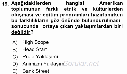 Çocuk Gelişiminde Alan Çalışmaları 2017 - 2018 Dönem Sonu Sınavı 19.Soru