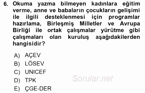 Çocuk Gelişiminde Alan Çalışmaları 2017 - 2018 Dönem Sonu Sınavı 6.Soru