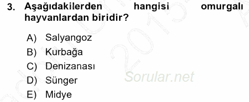 Okulöncesinde Fen Eğitimi 2015 - 2016 Ara Sınavı 3.Soru
