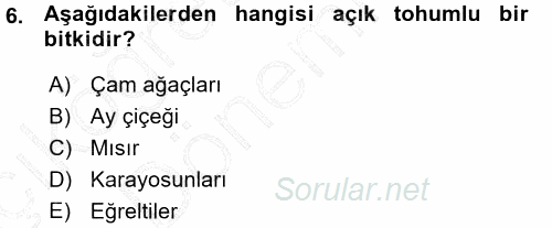 Okulöncesinde Fen Eğitimi 2015 - 2016 Ara Sınavı 6.Soru