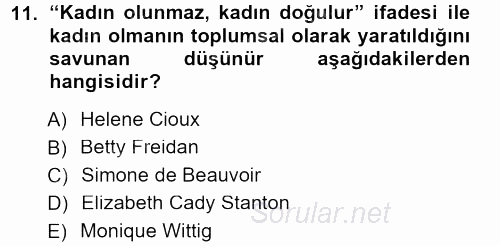 Yeni Toplumsal Hareketler 2013 - 2014 Tek Ders Sınavı 11.Soru