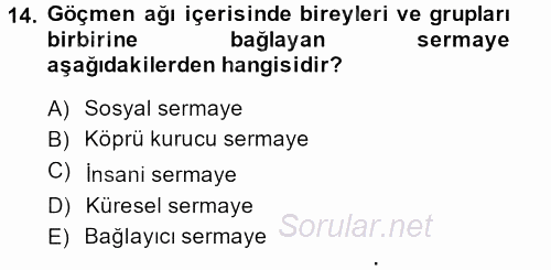 Yeni Toplumsal Hareketler 2013 - 2014 Tek Ders Sınavı 14.Soru