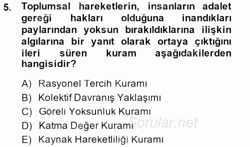 Yeni Toplumsal Hareketler 2013 - 2014 Tek Ders Sınavı 5.Soru