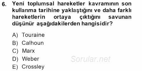 Yeni Toplumsal Hareketler 2013 - 2014 Tek Ders Sınavı 6.Soru