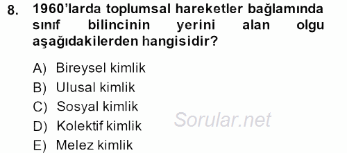 Yeni Toplumsal Hareketler 2013 - 2014 Tek Ders Sınavı 8.Soru