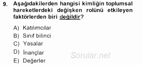 Yeni Toplumsal Hareketler 2013 - 2014 Tek Ders Sınavı 9.Soru