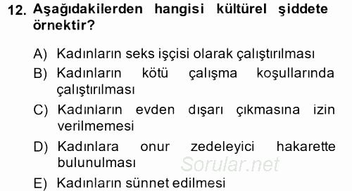 Toplumsal Cinsiyet Çalışmaları 2014 - 2015 Tek Ders Sınavı 12.Soru