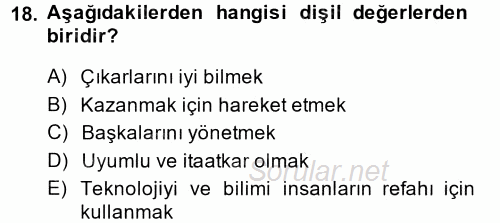 Toplumsal Cinsiyet Çalışmaları 2014 - 2015 Tek Ders Sınavı 18.Soru