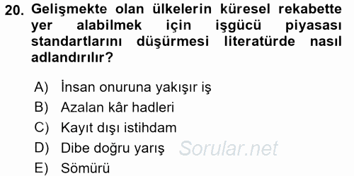 Gelir Dağılımı ve Yoksulluk 2017 - 2018 3 Ders Sınavı 20.Soru