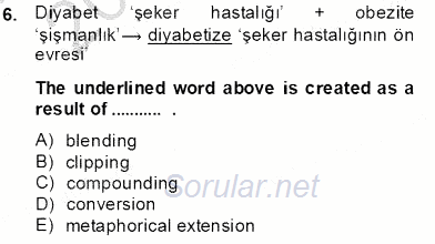 Türkçe Ses Ve Biçim Bilgisi 2013 - 2014 Tek Ders Sınavı 6.Soru