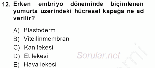 Temel Zootekni 2014 - 2015 Dönem Sonu Sınavı 12.Soru