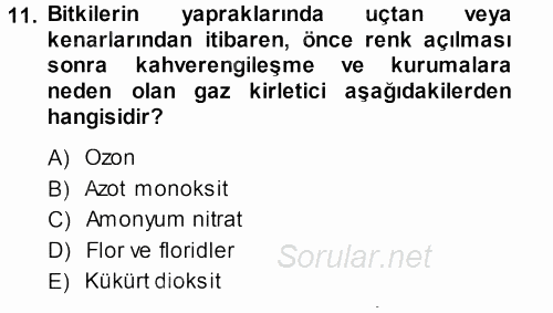 Fitopatoloji 2013 - 2014 Dönem Sonu Sınavı 11.Soru