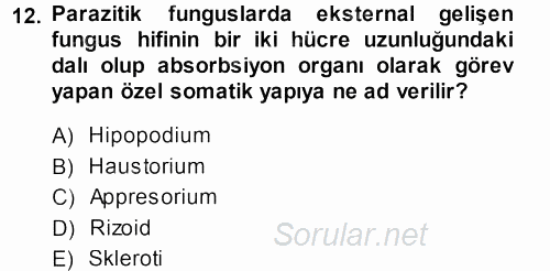 Fitopatoloji 2013 - 2014 Dönem Sonu Sınavı 12.Soru