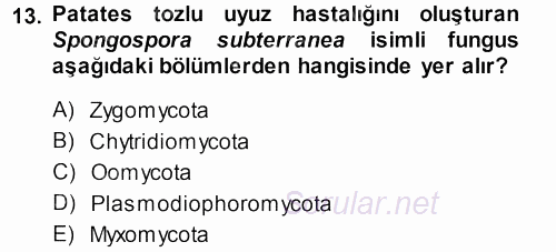 Fitopatoloji 2013 - 2014 Dönem Sonu Sınavı 13.Soru