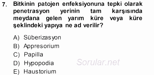 Fitopatoloji 2013 - 2014 Dönem Sonu Sınavı 7.Soru