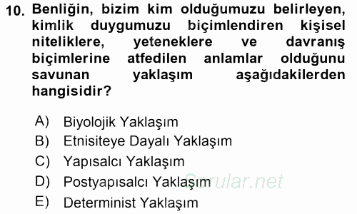 Yeni Toplumsal Hareketler 2017 - 2018 Ara Sınavı 10.Soru