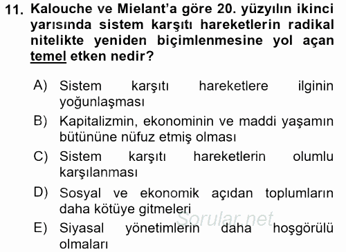 Yeni Toplumsal Hareketler 2017 - 2018 Ara Sınavı 11.Soru