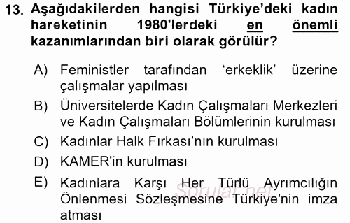 Yeni Toplumsal Hareketler 2017 - 2018 Ara Sınavı 13.Soru