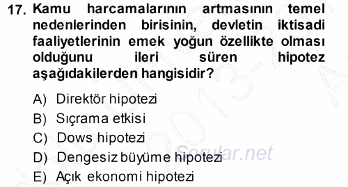 Kamu Ekonomisi 1 2013 - 2014 Ara Sınavı 17.Soru