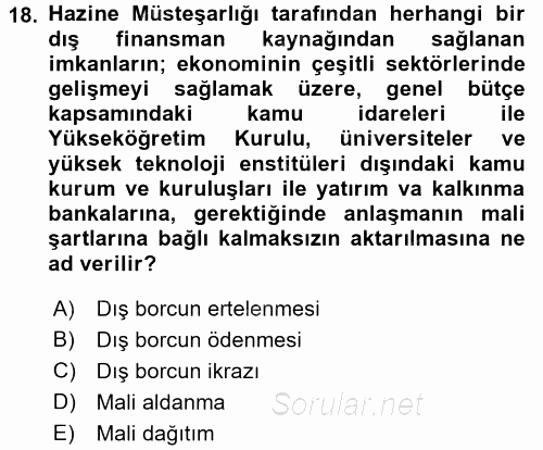 Devlet Borçları 2017 - 2018 Ara Sınavı 18.Soru