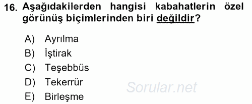 Vergi Ceza Hukuku 2016 - 2017 Ara Sınavı 16.Soru