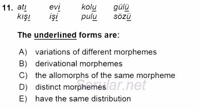Türkçe Ses Ve Biçim Bilgisi 2015 - 2016 Dönem Sonu Sınavı 11.Soru