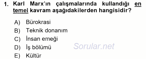 Çalışma Sosyolojisi 2015 - 2016 Dönem Sonu Sınavı 1.Soru