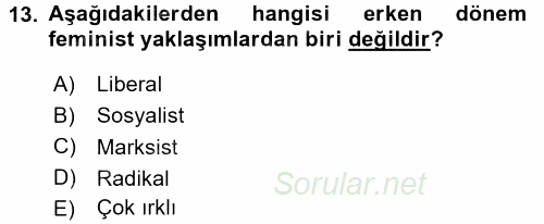 Çalışma Sosyolojisi 2015 - 2016 Dönem Sonu Sınavı 13.Soru