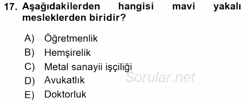 Çalışma Sosyolojisi 2015 - 2016 Dönem Sonu Sınavı 17.Soru