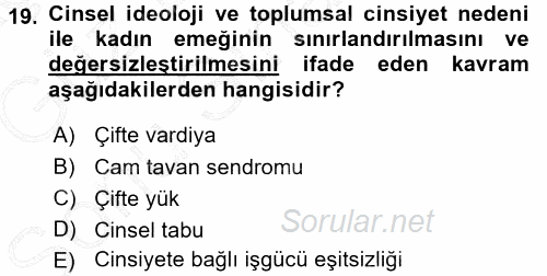 Çalışma Sosyolojisi 2015 - 2016 Dönem Sonu Sınavı 19.Soru