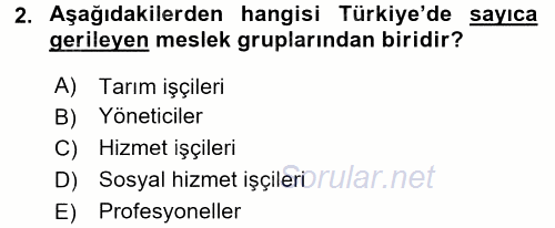 Çalışma Sosyolojisi 2015 - 2016 Dönem Sonu Sınavı 2.Soru