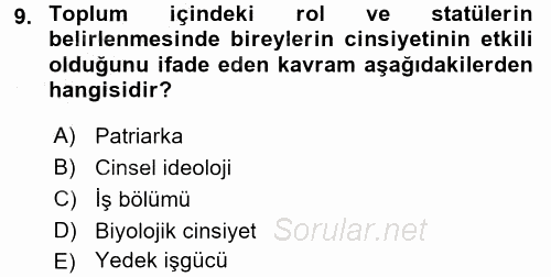 Çalışma Sosyolojisi 2015 - 2016 Dönem Sonu Sınavı 9.Soru