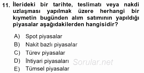 Finansal Ekonomi 2016 - 2017 3 Ders Sınavı 11.Soru