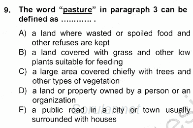 İleri Okuma Ve Yazma Becerileri 2 2012 - 2013 Ara Sınavı 9.Soru