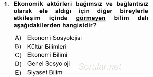 Ekonomi Sosyolojisi 2015 - 2016 Dönem Sonu Sınavı 1.Soru