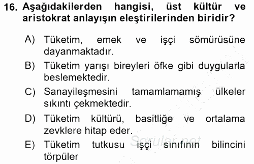 Ekonomi Sosyolojisi 2015 - 2016 Dönem Sonu Sınavı 16.Soru