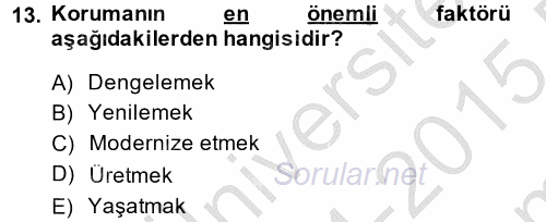 Restorasyon ve Koruma İlkeleri 2014 - 2015 Dönem Sonu Sınavı 13.Soru