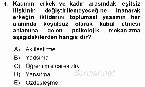 Toplumsal Cinsiyet Çalışmaları 2016 - 2017 Ara Sınavı 1.Soru