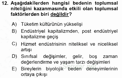 Toplumsal Cinsiyet Çalışmaları 2016 - 2017 Ara Sınavı 12.Soru