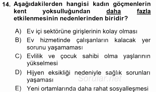 Toplumsal Cinsiyet Çalışmaları 2016 - 2017 Ara Sınavı 14.Soru