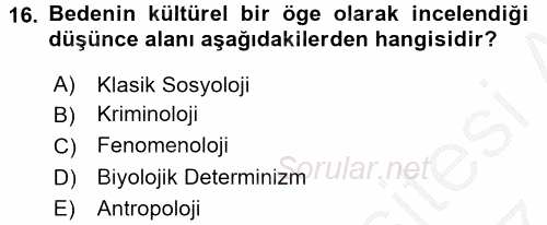 Toplumsal Cinsiyet Çalışmaları 2016 - 2017 Ara Sınavı 16.Soru