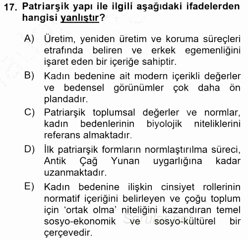 Toplumsal Cinsiyet Çalışmaları 2016 - 2017 Ara Sınavı 17.Soru