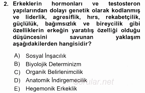 Toplumsal Cinsiyet Çalışmaları 2016 - 2017 Ara Sınavı 2.Soru