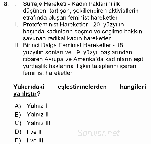 Toplumsal Cinsiyet Çalışmaları 2016 - 2017 Ara Sınavı 8.Soru