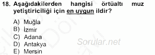Örtü Altı Üretim Sistemleri 2012 - 2013 Dönem Sonu Sınavı 18.Soru
