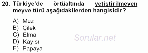 Örtü Altı Üretim Sistemleri 2012 - 2013 Dönem Sonu Sınavı 20.Soru